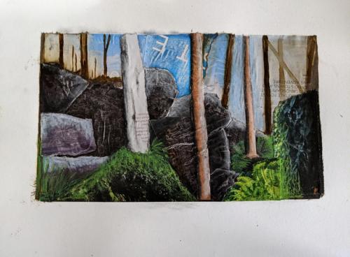 Woodland in rocky landscape