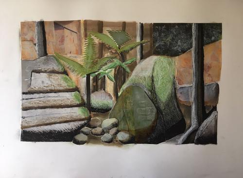 ferns-rocks-carnarvon-gorge-collage-2019